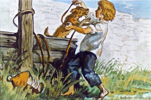 Гарин-Михайловский тема и жучка иллюстрации