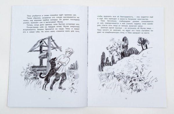 Тема и жучка Гарин-Михайловский читать