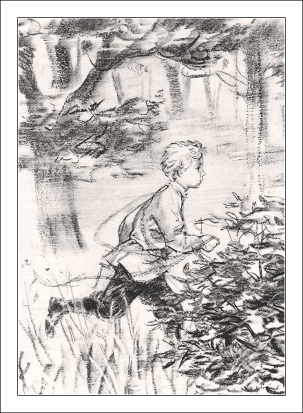 Н.Г.Гарин-Михайловский тёма и жучка