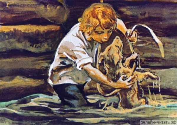 Николай Гарин-Михайловский тёма и жучка