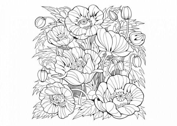 Раскраска антистресс в цвете