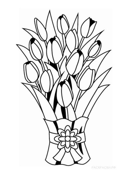 Раскраска цветы тюльпаны