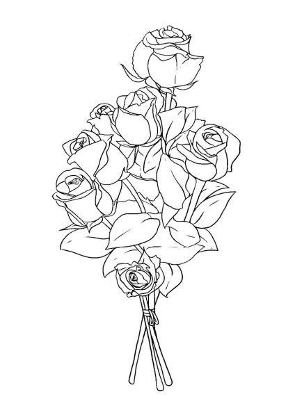 Роза раскраска