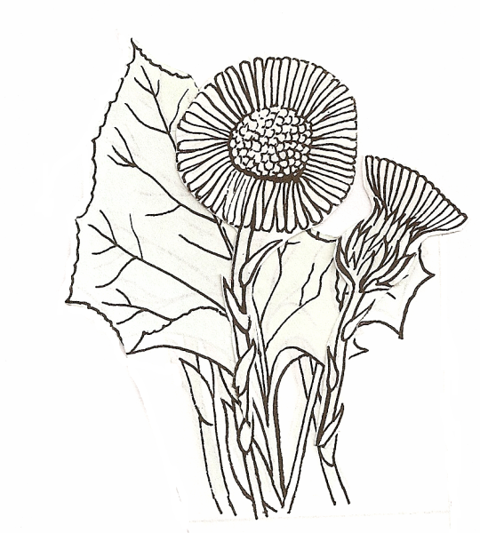 Мать и мачеха разукрашки