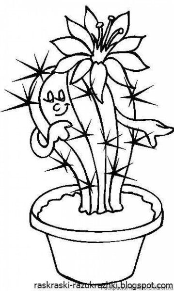 Раскраска комнатные растения в горшках