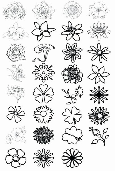 Раскраска цветы маленькие