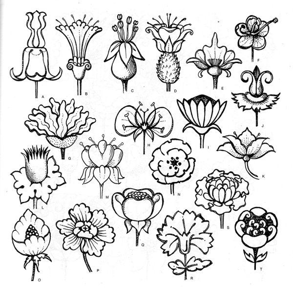 Стилизация цветов