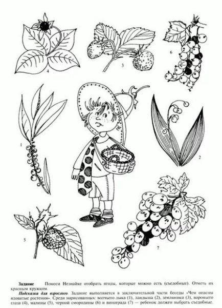 Ядовитые растения задания для дошкольников
