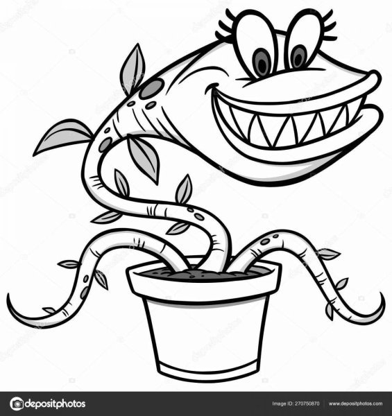 Венерина мухоловка цветок раскраска