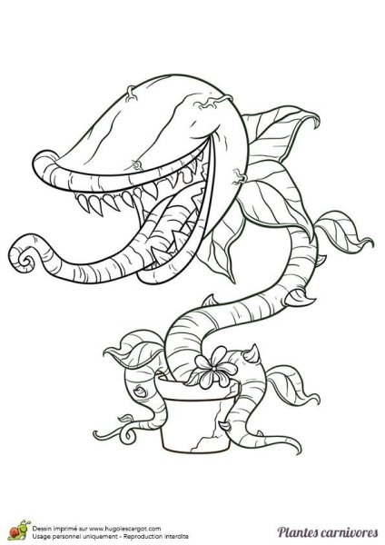 Раскраска хищный цветок