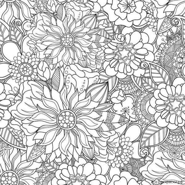 Раскраска антистресс "цветы"