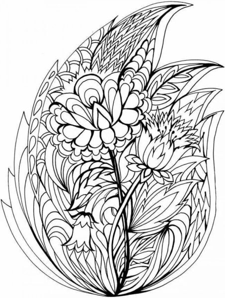 Растения раскраска сложная