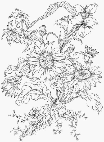 Раскраски для взрослых цветы