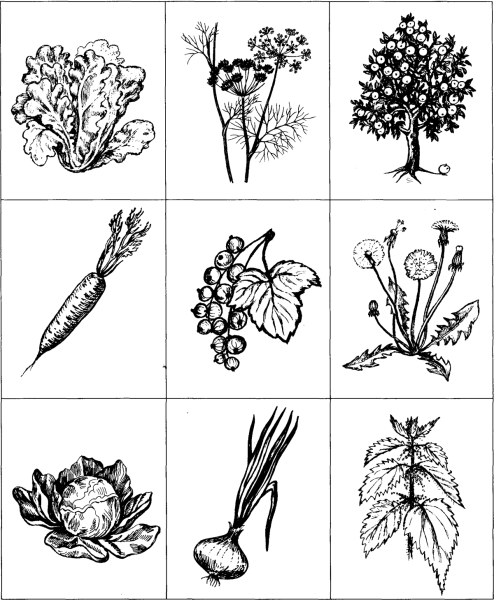 Рисунки растений