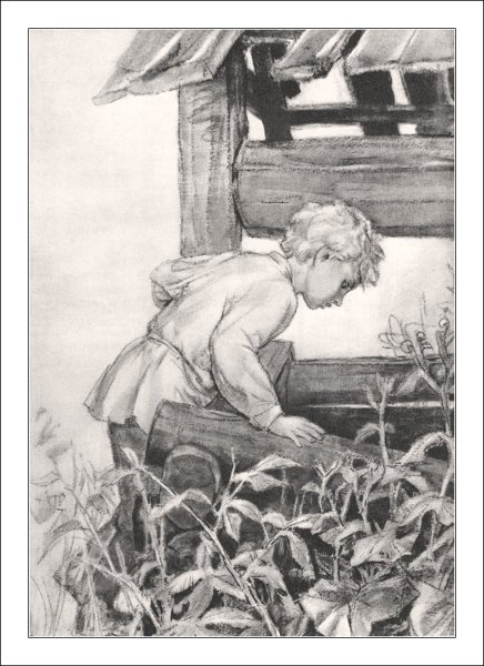 Гарин-Михайловский тёма и жучка