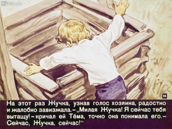 Рассказ н г Гарина-Михайловского тёма и жучка