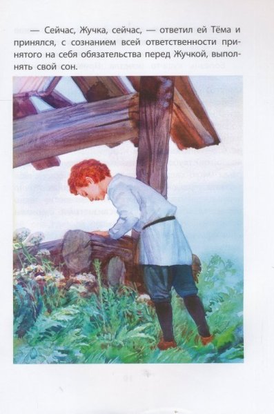 Тема и жучка иллюстрации