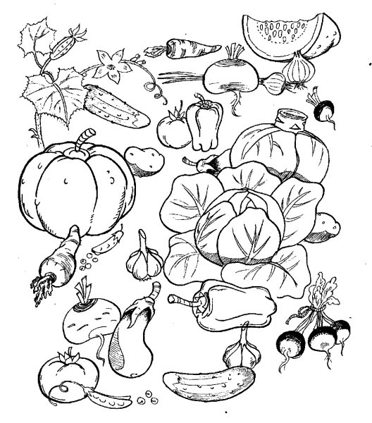 Раскраска. Овощи.