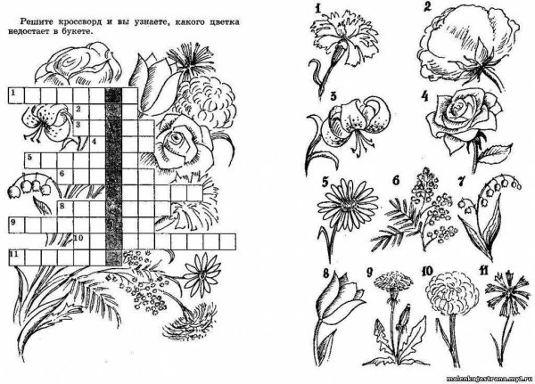 Цветы задания для дошкольников