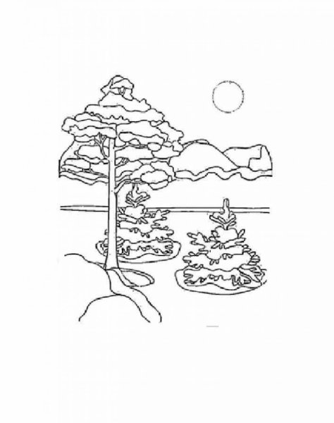 Деревья зимой раскраска для детей