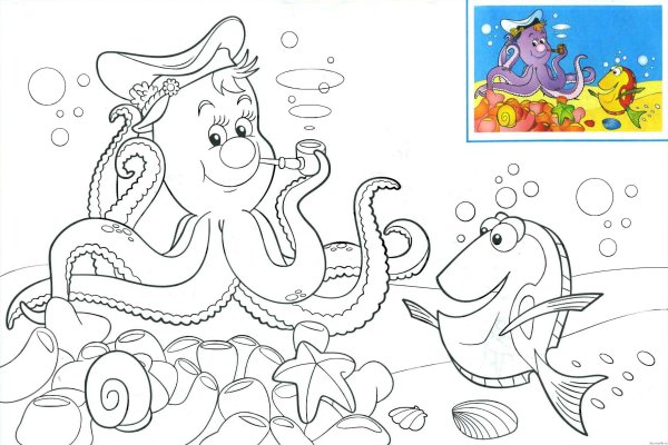 Морские обитатели раскраски для детей