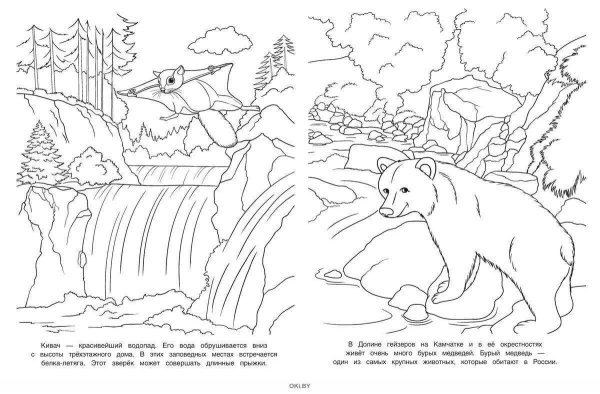 Родина раскраска для детей