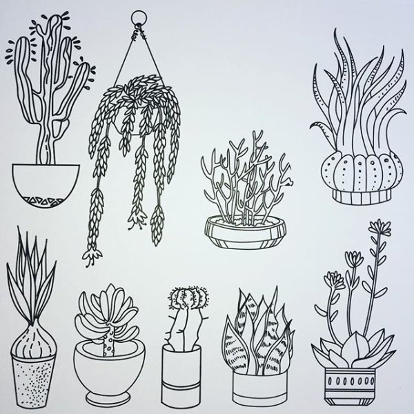 Раскраска растения Эстетика