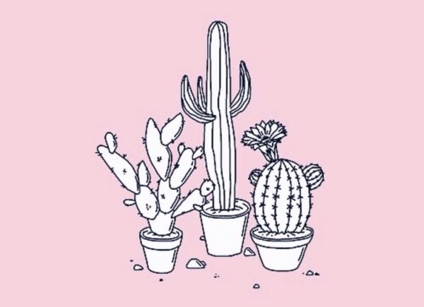 Раскраски кактусы милые