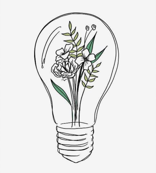 Растения для срисовки