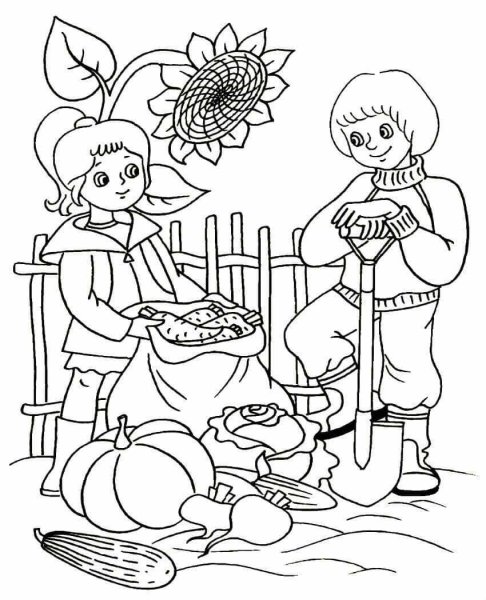 Раскраска. В огороде