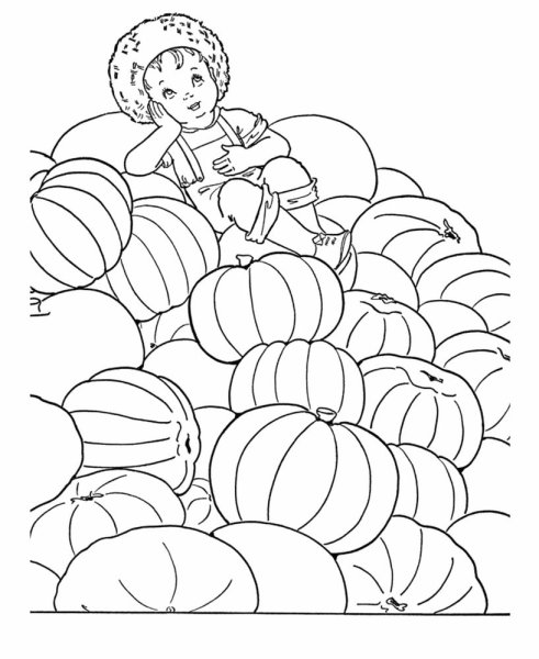 Раскраска урожай осени