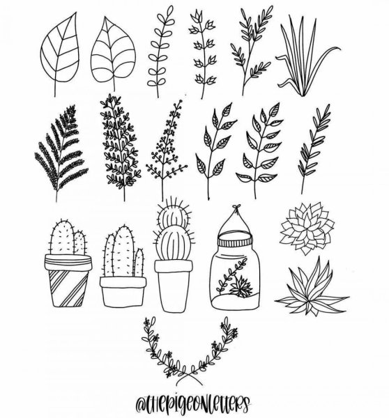 Раскраски из пинтереста