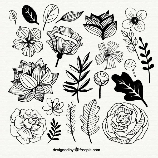 Цветы с листьями эскиз