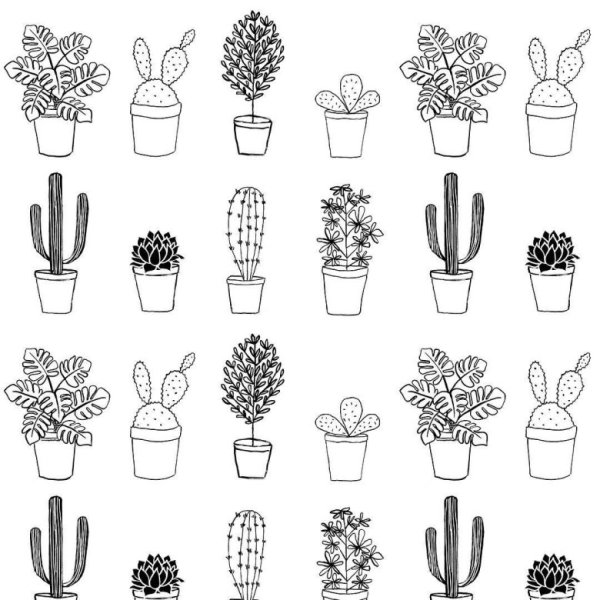 Дудлы Plants Кактус