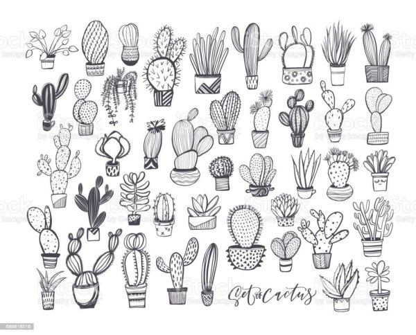 Маленькие раскраски кактусы
