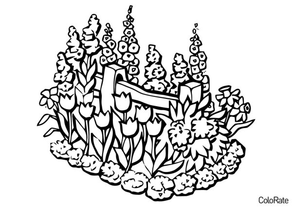 Клумба с цветами раскраска
