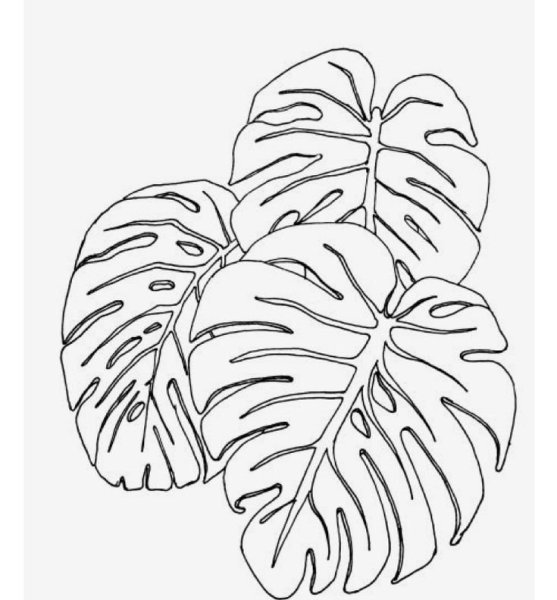Монстера трафарет