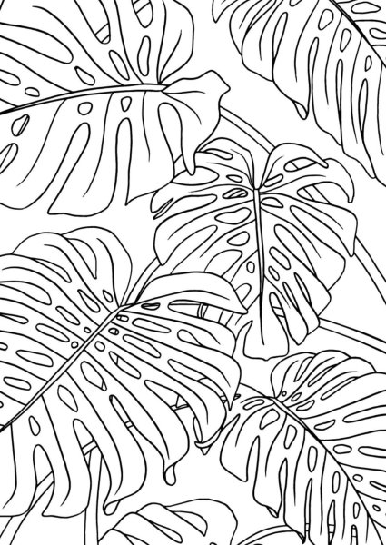 Тропические растения раскраска
