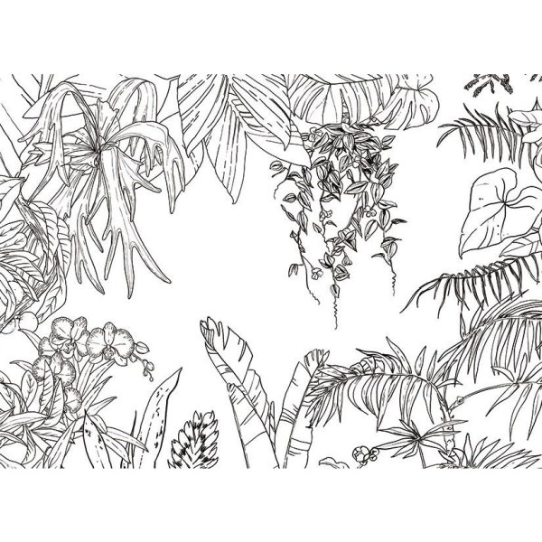 Тропические растения Графика