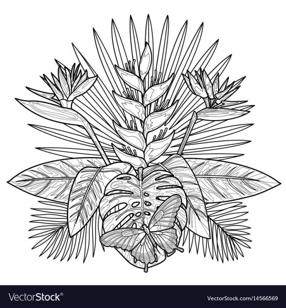 Эскиз букет тропических листьев