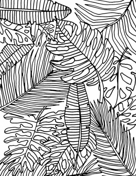 Тропические листья для раскрашивания
