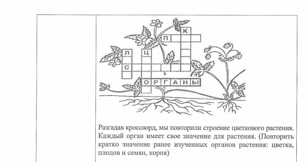 Задание части растений 1 класс