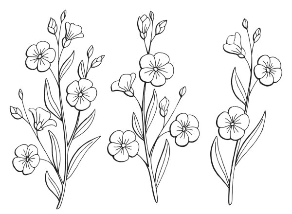 Цветок льна эскиз