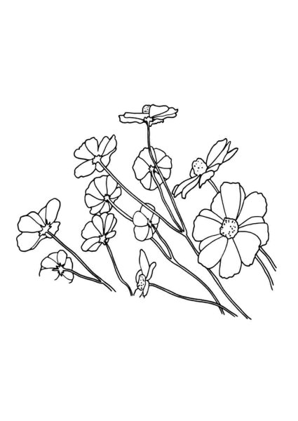 Рисования цветка льна