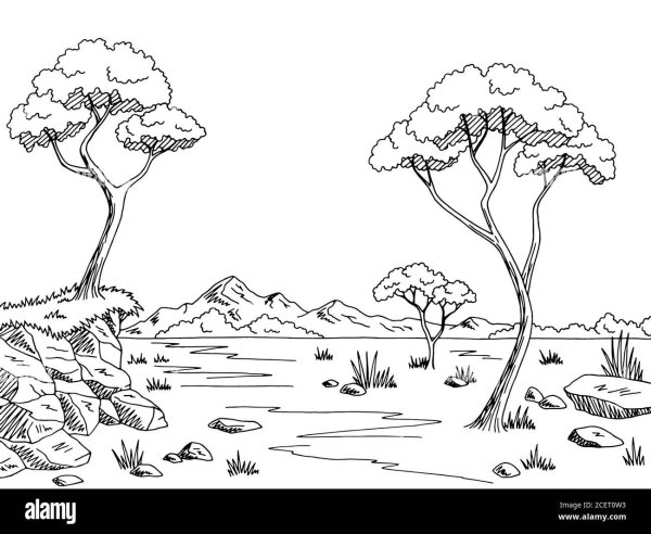 Саванна раскраска для детей