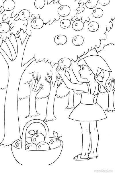 Раскраски лето старшая группа