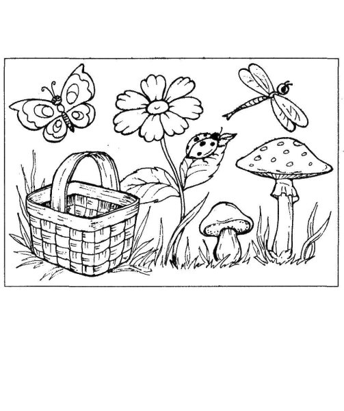 Раскраска лес с грибами и ягодами