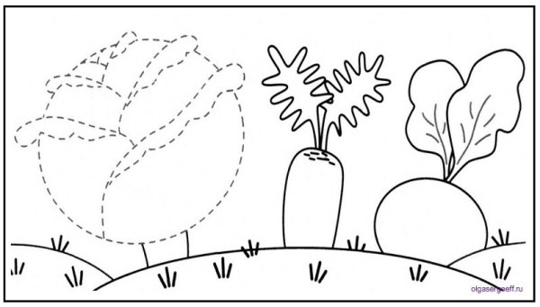 Раскраска овощи на грядке