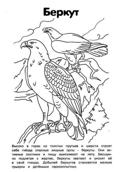 Животные красной книги раскраска