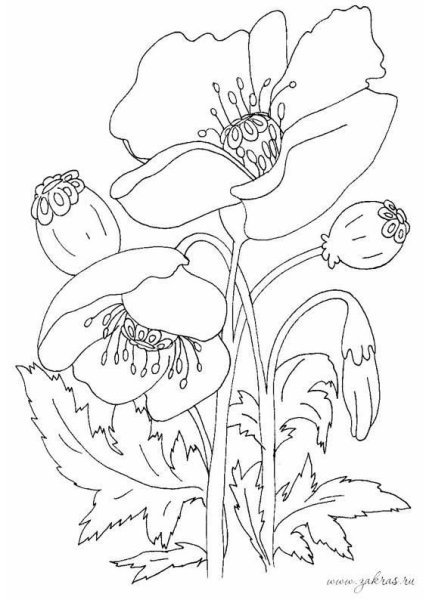 Трафареты для батика маки